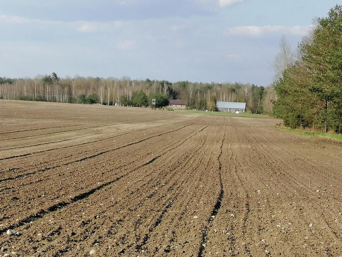 Agroturystyka Pod Dobrymi Skrzydlami Wiski 外观 照片